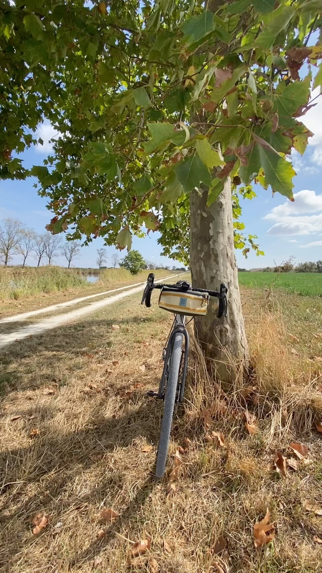 Gravel d’automne 

#automne #bruitdesfeuilles #marans #gravel #grvl #gravillon #gravillonsite #leguidondanslatete #cycling #velo #bicyclette #bicicleta #bicla #bici #bicicletta #bicycle #bike #cycle #fahrrad #自転車 #自行车