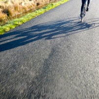 Ombres hivernales Ombres hivernales • <a style="font-size:0.8em;" href="http://www.flickr.com/photos/97706845@N04/23985322639/" target="_blank">View on Flickr</a>