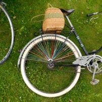 United colors United colors • <a style="font-size:0.8em;" href="http://www.flickr.com/photos/97706845@N04/23986168289/" target="_blank">View on Flickr</a>