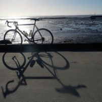 Marée cycliste Marée cycliste • <a style="font-size:0.8em;" href="http://www.flickr.com/photos/97706845@N04/23726336873/" target="_blank">View on Flickr</a>