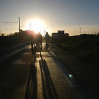 Un peloton solaire Un peloton solaire • <a style="font-size:0.8em;" href="http://www.flickr.com/photos/97706845@N04/23985325179/" target="_blank">View on Flickr</a>