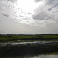 Maudits marais Maudits marais • <a style="font-size:0.8em;" href="http://www.flickr.com/photos/97706845@N04/11399340115/" target="_blank">View on Flickr</a>