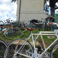 Anjou vélo vintage 2013 Anjou vélo vintage 2013 • <a style="font-size:0.8em;" href="http://www.flickr.com/photos/97706845@N04/9127560229/" target="_blank">View on Flickr</a>