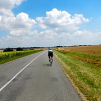 En chasse en Saintonge (27/07/14) En chasse en Saintonge (27/07/14) • <a style="font-size:0.8em;" href="http://www.flickr.com/photos/97706845@N04/14767397965/" target="_blank">View on Flickr</a>