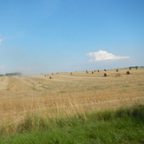 Récolter le fruit de ses efforts (27/07/14) Récolter le fruit de ses efforts (27/07/14) • <a style="font-size:0.8em;" href="http://www.flickr.com/photos/97706845@N04/14766757125/" target="_blank">View on Flickr</a>