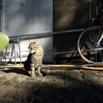 Rando 90 km - AVV 14 Rando 90 km - AVV 14 • <a style="font-size:0.8em;" href="http://www.flickr.com/photos/97706845@N04/14556432075/" target="_blank">View on Flickr</a>