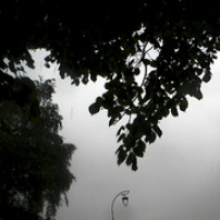 Le presque voyage Le presque voyage • <a style="font-size:0.8em;" href="http://www.flickr.com/photos/97706845@N04/14633584078/" target="_blank">View on Flickr</a>