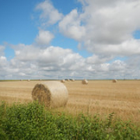 Le presque voyage Le presque voyage • <a style="font-size:0.8em;" href="http://www.flickr.com/photos/97706845@N04/14840093363/" target="_blank">View on Flickr</a>