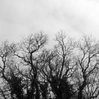 Tonnay-Saintes Tonnay-Saintes • <a style="font-size:0.8em;" href="http://www.flickr.com/photos/97706845@N04/12872301283/" target="_blank">View on Flickr</a>