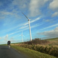 Gravillon- 2 fév 2014 Gravillon- 2 fév 2014 • <a style="font-size:0.8em;" href="http://www.flickr.com/photos/97706845@N04/12417298754/" target="_blank">View on Flickr</a>