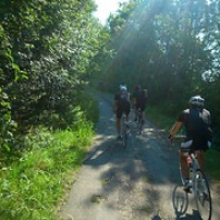 Bordure charentaise Bordure charentaise • <a style="font-size:0.8em;" href="http://www.flickr.com/photos/97706845@N04/11399133934/" target="_blank">View on Flickr</a>