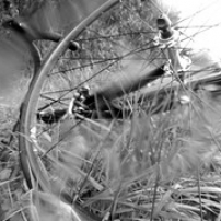 Tonnay, Brouage, Saint-Agnant Tonnay, Brouage, Saint-Agnant • <a style="font-size:0.8em;" href="http://www.flickr.com/photos/97706845@N04/12417284705/" target="_blank">View on Flickr</a>