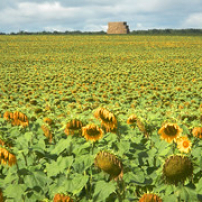 Le presque voyage Le presque voyage • <a style="font-size:0.8em;" href="http://www.flickr.com/photos/97706845@N04/14797274816/" target="_blank">View on Flickr</a>