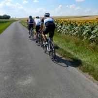 En ligne en Saintonge (27/07/14) En ligne en Saintonge (27/07/14) • <a style="font-size:0.8em;" href="http://www.flickr.com/photos/97706845@N04/14580915507/" target="_blank">View on Flickr</a>