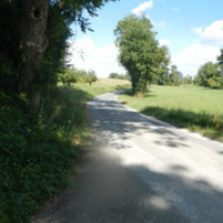 Au détour du virage (27/07/14) Au détour du virage (27/07/14) • <a style="font-size:0.8em;" href="http://www.flickr.com/photos/97706845@N04/14580093969/" target="_blank">View on Flickr</a>