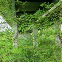 Nature galopante (08/05/14) Nature galopante (08/05/14) • <a style="font-size:0.8em;" href="http://www.flickr.com/photos/97706845@N04/14163429243/" target="_blank">View on Flickr</a>