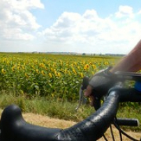 Rouler en jaune (27/07/14) Rouler en jaune (27/07/14) • <a style="font-size:0.8em;" href="http://www.flickr.com/photos/97706845@N04/14766365632/" target="_blank">View on Flickr</a>