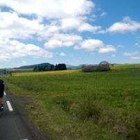 Quinquin dans les paturages Quinquin dans les paturages • <a style="font-size:0.8em;" href="http://www.flickr.com/photos/97706845@N04/27077697345/" target="_blank">View on Flickr</a>