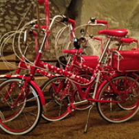 Anjou vélo vintage Anjou vélo vintage • <a style="font-size:0.8em;" href="http://www.flickr.com/photos/97706845@N04/9135176448/" target="_blank">View on Flickr</a>