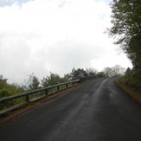 Virolo verdoyant Virolo verdoyant • <a style="font-size:0.8em;" href="http://www.flickr.com/photos/97706845@N04/27044604546/" target="_blank">View on Flickr</a>