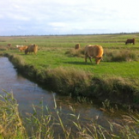 Aubrac sur Seudre Aubrac sur Seudre • <a style="font-size:0.8em;" href="http://www.flickr.com/photos/97706845@N04/11399321884/" target="_blank">View on Flickr</a>