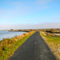 Droit dans les marais Droit dans les marais • <a style="font-size:0.8em;" href="http://www.flickr.com/photos/97706845@N04/11399773215/" target="_blank">View on Flickr</a>