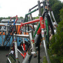 Anjou vélo vintage 2013 Anjou vélo vintage 2013 • <a style="font-size:0.8em;" href="http://www.flickr.com/photos/97706845@N04/9129806222/" target="_blank">View on Flickr</a>