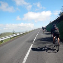 Bobi surveille nos arrières Bobi surveille nos arrières • <a style="font-size:0.8em;" href="http://www.flickr.com/photos/97706845@N04/27077669535/" target="_blank">View on Flickr</a>