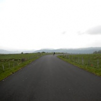 Au tournant Au tournant • <a style="font-size:0.8em;" href="http://www.flickr.com/photos/97706845@N04/26472199944/" target="_blank">View on Flickr</a>