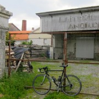 Pause laitière (08/05/14) Pause laitière (08/05/14) • <a style="font-size:0.8em;" href="http://www.flickr.com/photos/97706845@N04/14143422815/" target="_blank">View on Flickr</a>