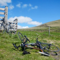 Sur le flanc Sur le flanc • <a style="font-size:0.8em;" href="http://www.flickr.com/photos/97706845@N04/27044666756/" target="_blank">View on Flickr</a>