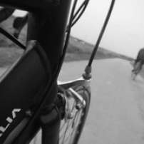 Tonnay-Saintes Tonnay-Saintes • <a style="font-size:0.8em;" href="http://www.flickr.com/photos/97706845@N04/12872641684/" target="_blank">View on Flickr</a>