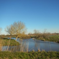 tangente-09-02-13-4 tangente-09-02-13-4 • <a style="font-size:0.8em;" href="http://www.flickr.com/photos/97706845@N04/13068965623/" target="_blank">View on Flickr</a>