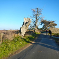 Nature décharnée Nature décharnée • <a style="font-size:0.8em;" href="http://www.flickr.com/photos/97706845@N04/11399588285/" target="_blank">View on Flickr</a>