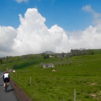 La vache décorative La vache décorative • <a style="font-size:0.8em;" href="http://www.flickr.com/photos/97706845@N04/26803440240/" target="_blank">View on Flickr</a>