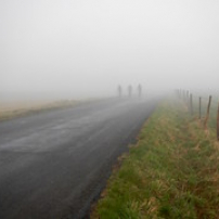 Ombres pédalantes Ombres pédalantes • <a style="font-size:0.8em;" href="http://www.flickr.com/photos/97706845@N04/27044588706/" target="_blank">View on Flickr</a>